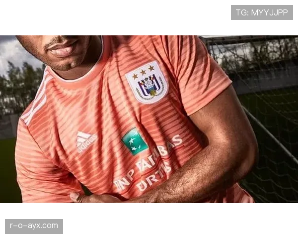 安德莱赫特逼抢体系