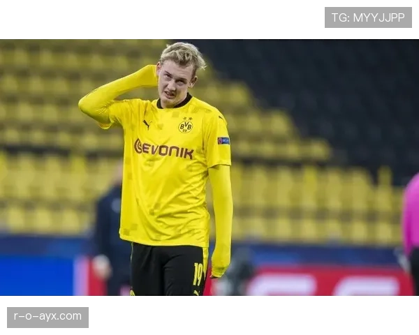 布兰特助攻数据 布兰特助攻数据