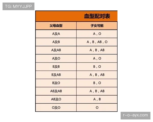 奥利塞与帕尔默:创造型核心的进攻组织与战术适配对比分析
